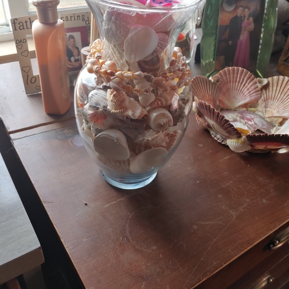 Shells - Picture 3 of 3